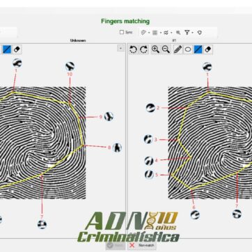 Software FPT para entrenamiento en análisis y cotejo dactiloscópico