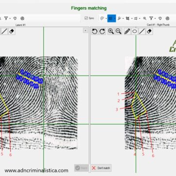 Software EZ Compare para análisis y cotejo dactiloscópico